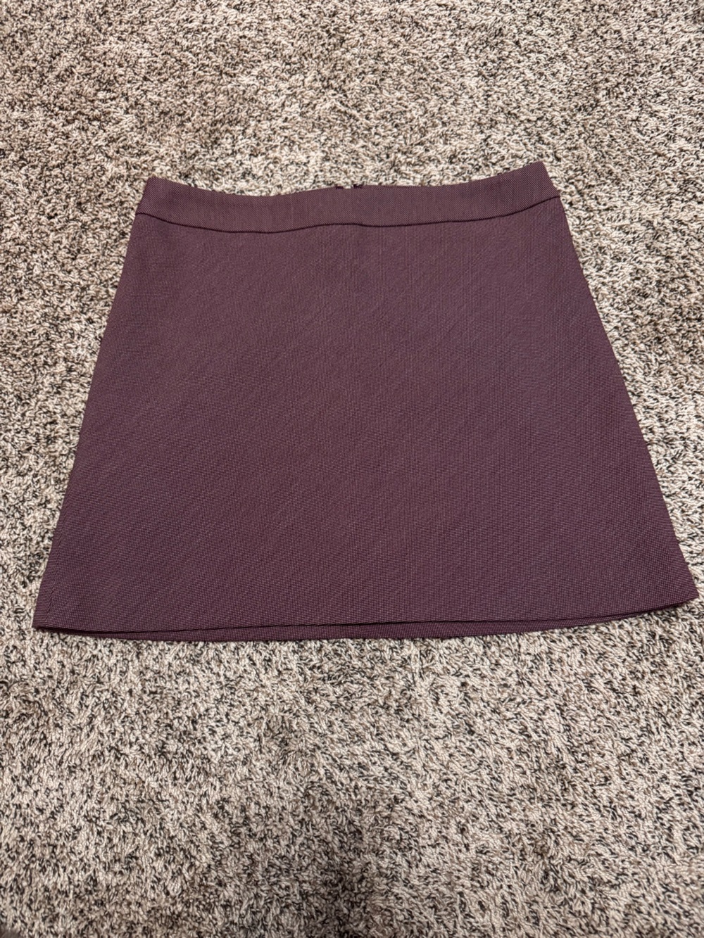 NWT Express Plum Mini Skirt